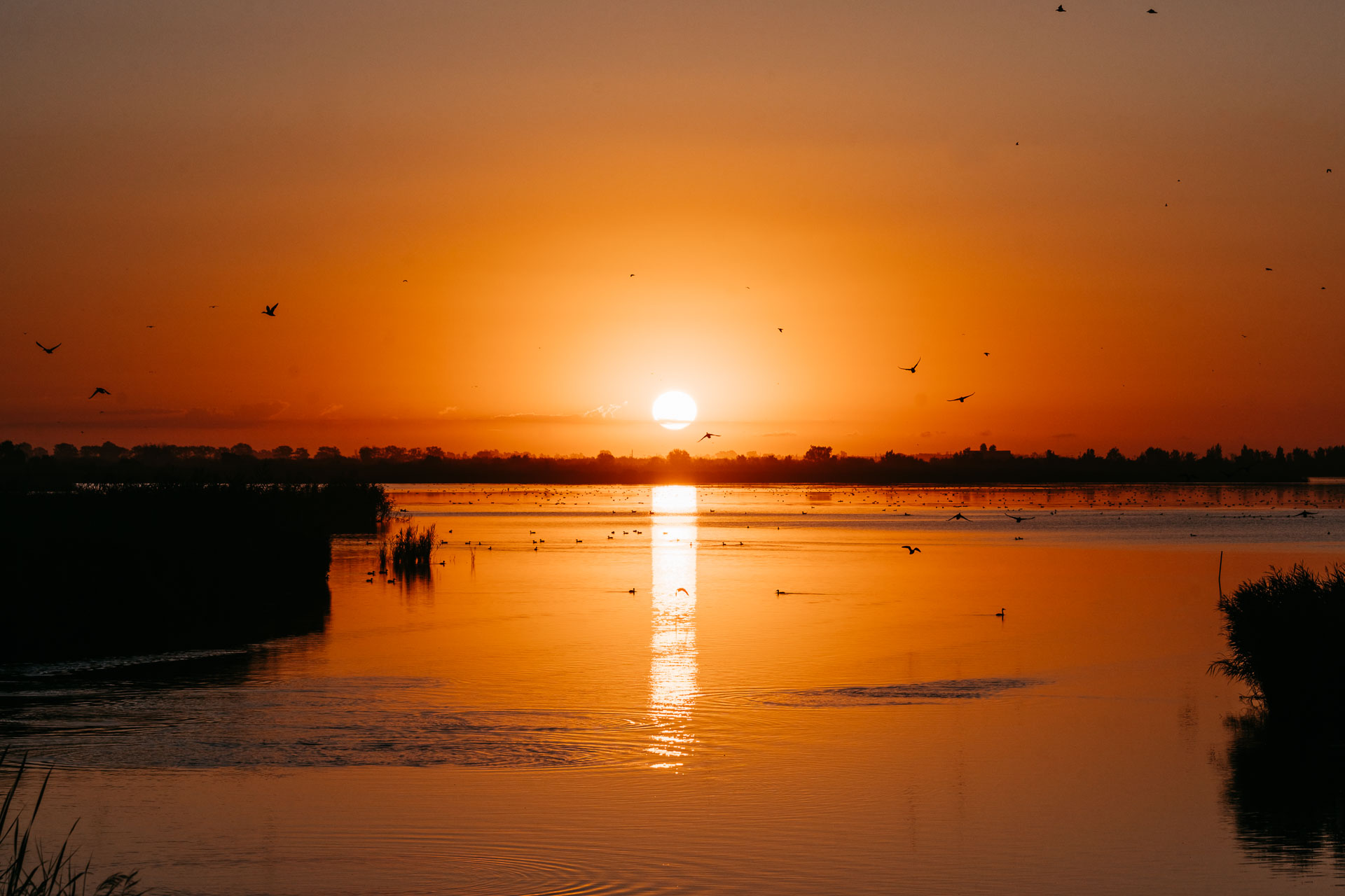 Ebrodelta-SabrinaStummer-Web-3